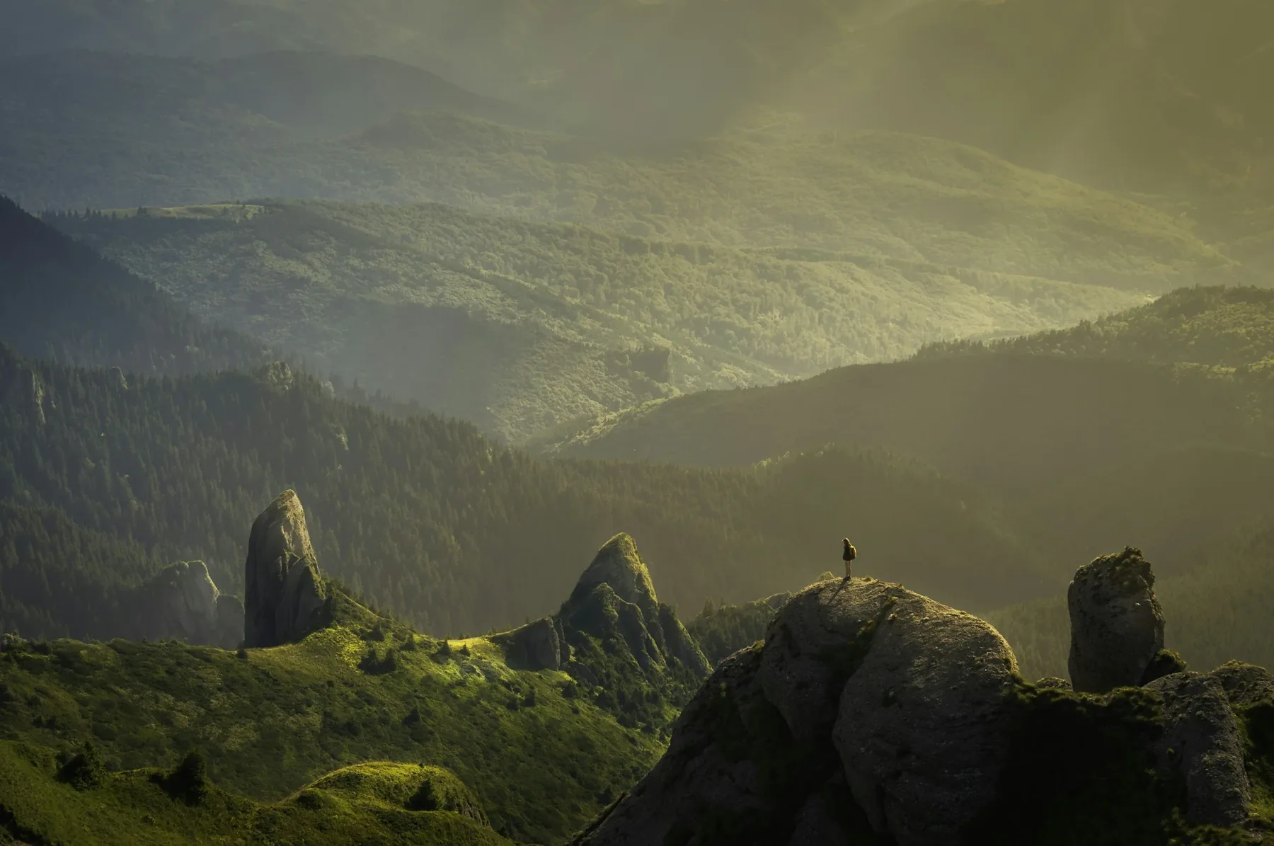 A person standing on a green hilltop at golden hour